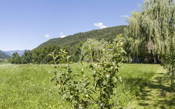 Pichlerhof_Panorama_Aussicht.jpg
