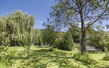 Gruene_Wiese_Pustertal (2).jpg